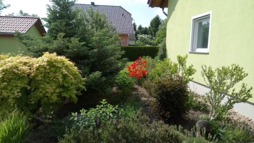 Appart'hôtel Apartmenthaus Reichelt Schulstraße 13c Göda