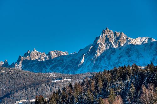 Apartments in Chalet Nessa Combloux france