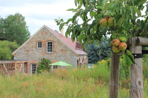 Maison de vacances Apfelscheune Cannewitz 3 Zum Mühlteich Malschwitz