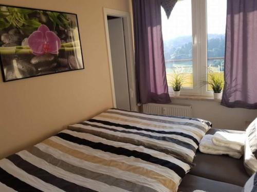 Appartement App 587 im Panoramic BraunlageHohegeiß Am Kurpark 3 Hohegeiss