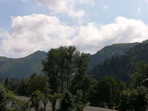 APPART 41m2 3* 2 GRANDS BALCONS VUE SUR LE SANCY Le Mont-Dore france