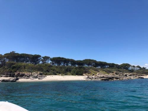 Appart. / Clim / piscine / mer à 300m Linguizzetta france