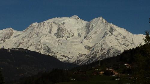 Appart en rez de jardin clos face au Mont BLANC Combloux france