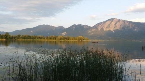 Aparthotel Alpenpark