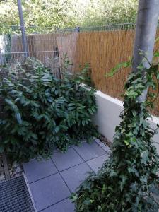 Apartment zum Relaxen - ruhig und doch zentral