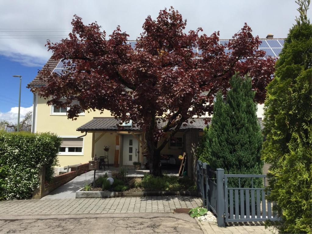 Appart'hôtel Apartmenthaus Ingrid Bolkart 1 Zum Reiser 89257 Illertissen