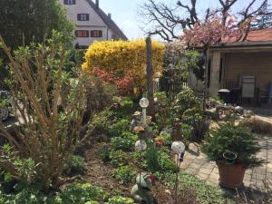 Apartmenthaus Ingrid Bolkart