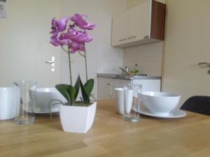 Apartmentpension am Stadtschloss
