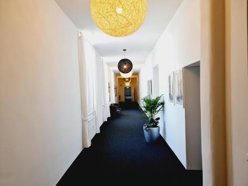 Best Boarding House