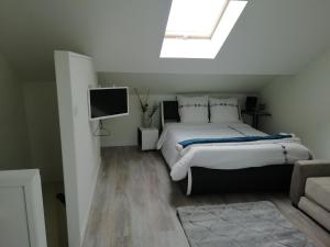 Cosy Studios - LA GAMBETA