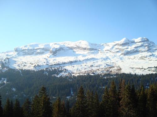Flaine prime ski in, ski out Apartment