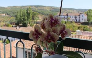 Guest house Casa dos Serpas - Caldas Da Felgueira
