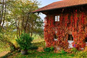 Hofatelier Menacher