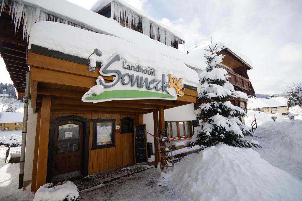 Appart'hôtel Landhotel und Apartments Sonneck Schwarzenbachweg 5 79868 Feldberg