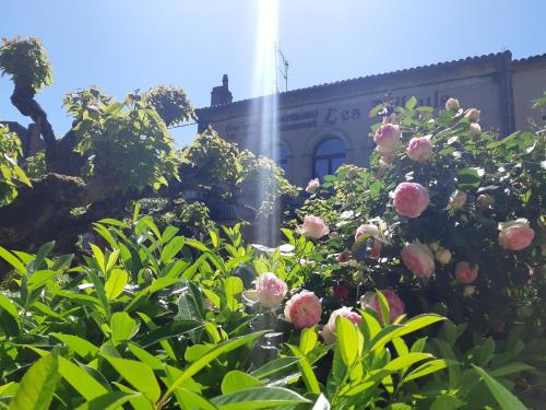 Appart'Hôtel Les Tilleuls Saint-Macaire france