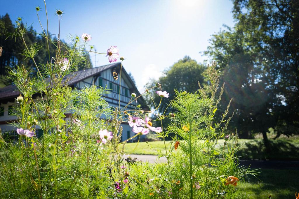 Appart'hôtel Natur & Spa Resort Allgäu by Monteviva 2 Unterkürnach 87487 Wiggensbach