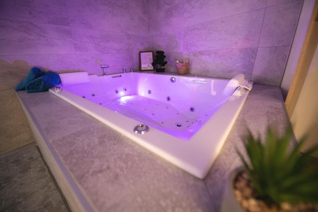 Odalys City Tours Le Jardin des Lettres 37000 Tours