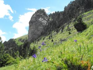 Résidence Azureva Piau Engaly