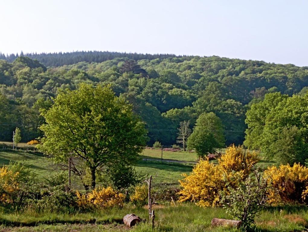 Résidence Odalys L'Ouillon 73530 Saint-Sorlin-d\'Arves