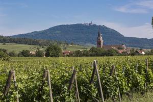 Résidence Odalys Le Domaine des Rois