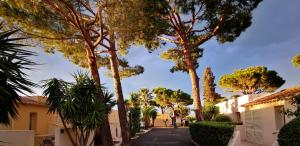 Appart'hôtel Résidence San Pellegrino Plage de San Pellegrino 20213 Folelli Corse