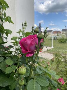 Villa Bellagio Amboise by Popinns