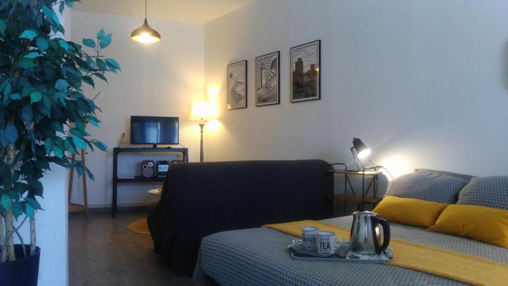Zenao Appart'hôtel Albi 81000 Albi