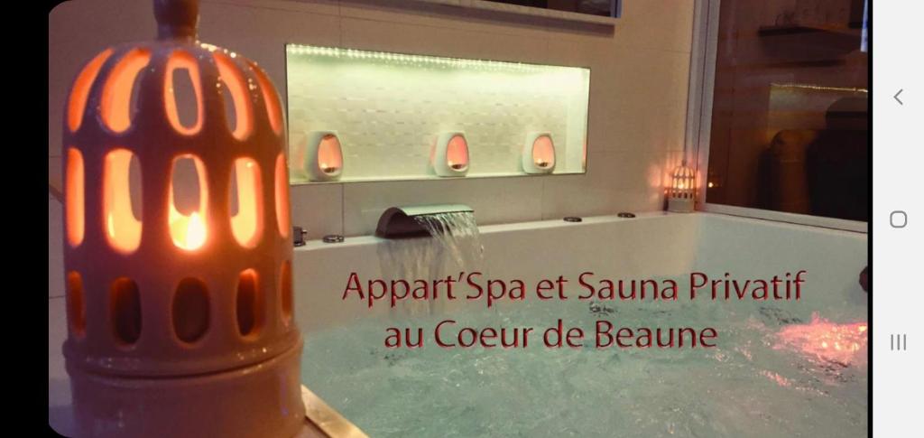 Appartements Appart' Spa et Sauna Privatif Au Cœur De Beaune 5 Rue faubourg Madeleine, 21200 Beaune