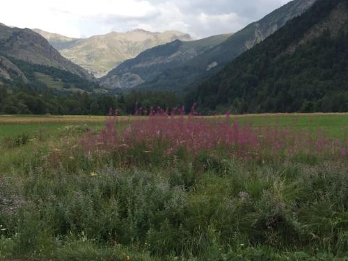 Appart très ensoleillé 7 pers au pied des pistes Ancelle france