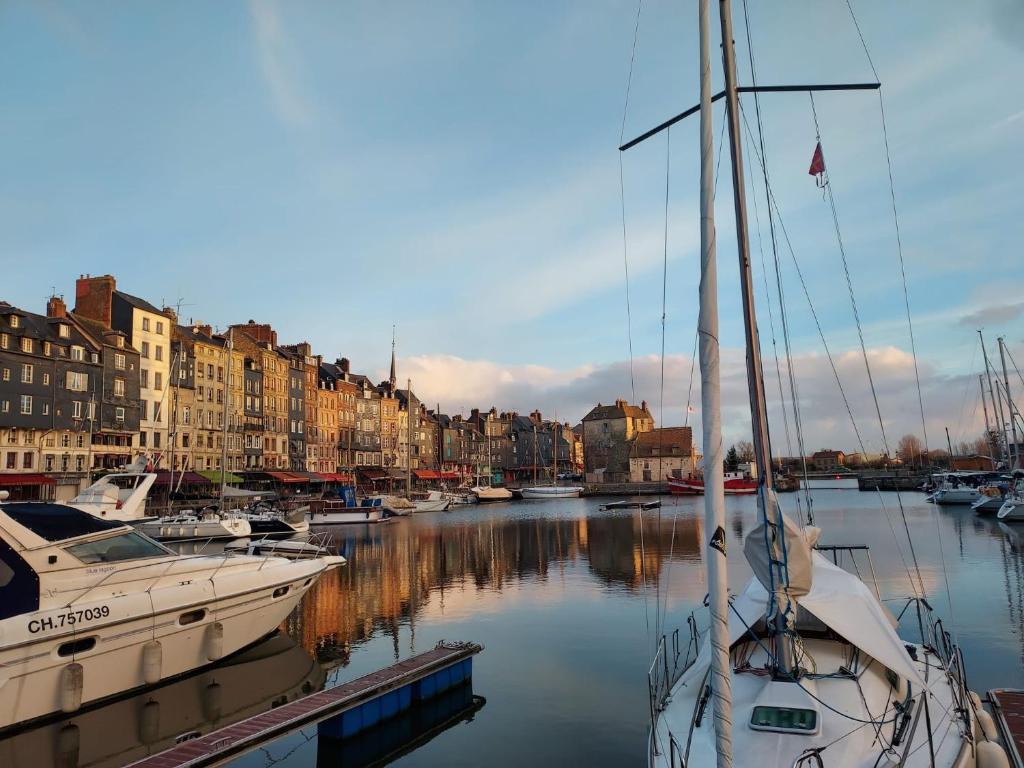 Appartement \ 25 Cours des Fossés 14600 Honfleur