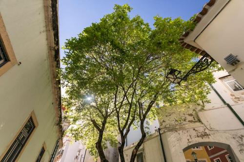 0D Brand new studio right in the heart of Alfama