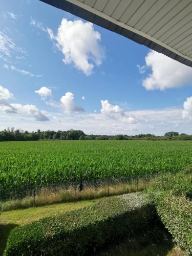 1 pied à la campagne, l'autre en ville T3 - 60m²