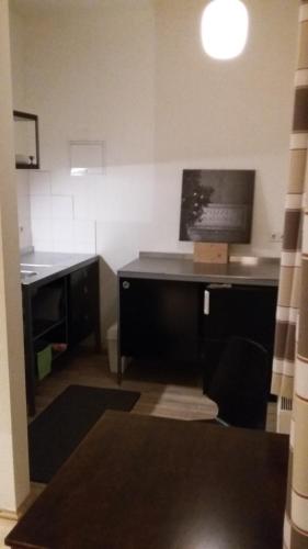 1-Raum Wohnung Eiche