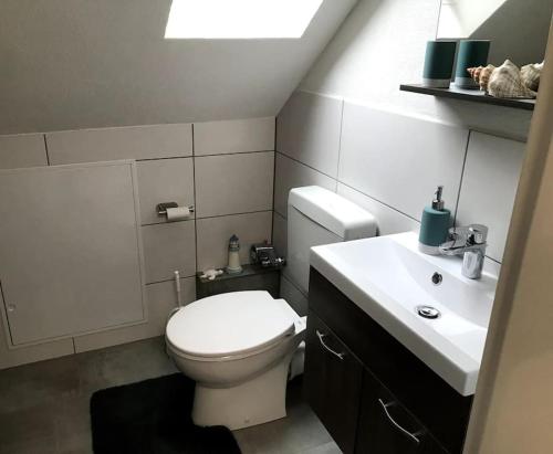 1 Zi Apartment im Stadtzentrum