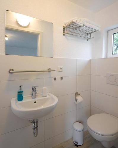 1-Zimmer-Apartment Heßdorf