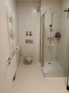 1-Zimmer Apartment in der Nähe vom Petersberg