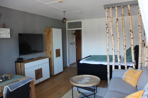 1-Zimmer-Apartment mit großem Balkon