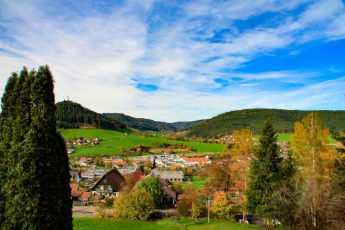 1 Zimmer Appartement mit malerischen Ausblick und Pool