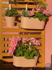 115 OPorto Guest House