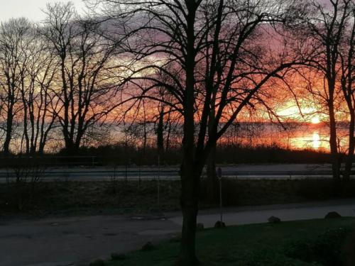 17 Dünenweg Dünenblick