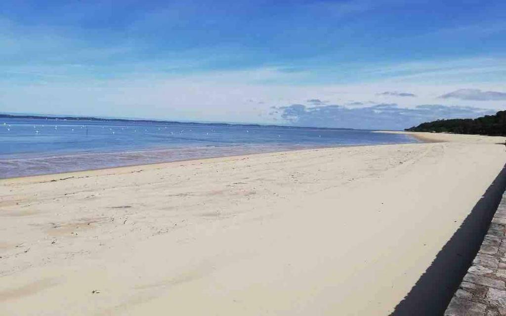 1er ligne pied dans l'eau plage option parking 29 Boulevard de l'Océan, 33120 Arcachon