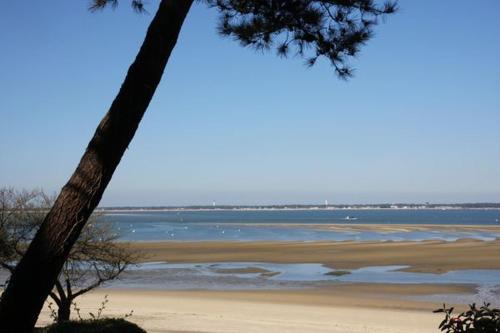 1er ligne pied dans l'eau plage option parking