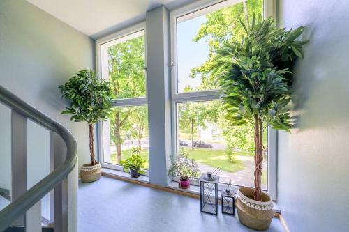 1OG Mitte Wunderschöne 68m² große 2-Zimmer City Wohnung nähe Salzburg
