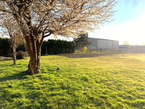 2 appartements conforts + jardin + parking