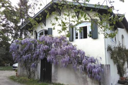 2 Bed apartment on the Dordogne River