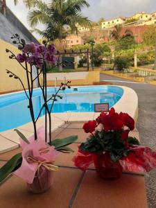 2 bedrooms appartement with sea view private pool and enclosed garden at Lombo Do Doutor 1 km away from the beach