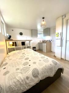 2 - Le Studio Pontissalien - Parking privatif
