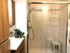 2 pieces avec cabine proche plage Bois fleuri