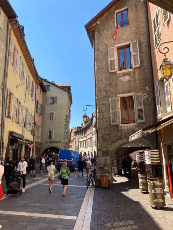 Appartement 2 Pieces cosy Rue Sainte-Claire 74000 Annecy