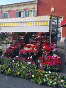 2 pièces Vieux-Nice N